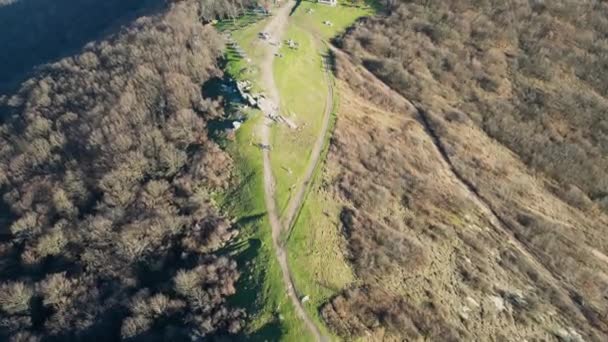 Drone Flight Zarand Mountains Arad Romania Europe — Video