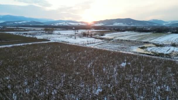 Drone Flight Frozen Field Hateg Town Romania Europe — Vídeo de stock
