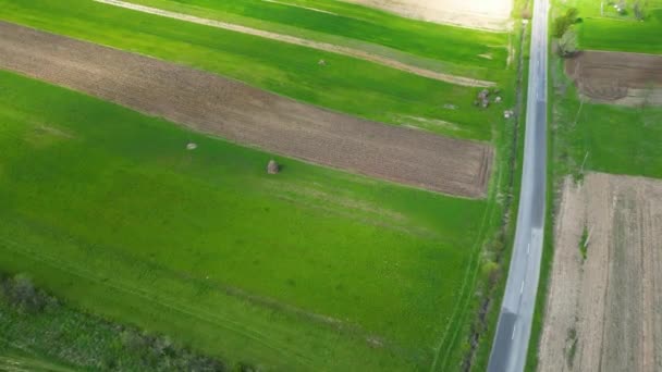 Des Films Agricoles Des Images Drones Comté Arad Roumanie — Video