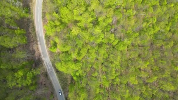 Vista Aérea Una Carretera Curva Través Del Bosque Montañas Apuseni — Vídeos de Stock