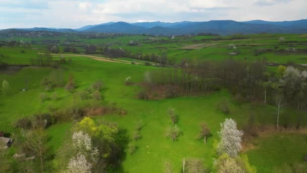 Drone Vlucht Buurt Van Apuseni Gebergte Provincie Arad Roemenië — Stockvideo