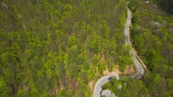 Vista Superior Carretera Curva Través Bosque Montañas Apuseni Condado Arad — Foto de Stock