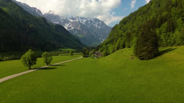 Logarska Dolina Kamnik Alpi Savinja Slovenia Filmati Dei Droni — Video Stock