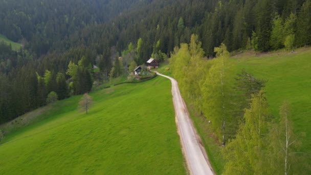 Slovinsko Záběry Dronů Blízkosti Vesnice Podolseva — Stock video