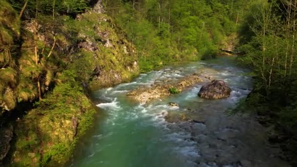 Rio Savinja Perto Solcava Eslovénia Captura Drones — Vídeo de Stock