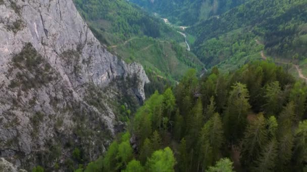 Полет Дрона Окрестностях Подольцевой Словения — стоковое видео