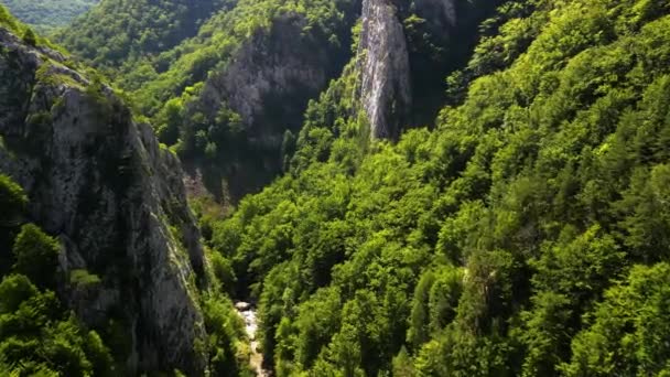 Gorges Ramet Transylvanie Montagnes Trascau Comté Alba Roumanie Drone Séquences — Video