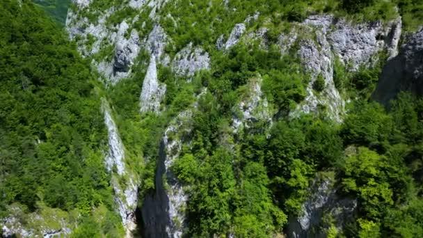 Ramet Rokle Transylvánie Trascau Hory Alba Kraj Rumunsko Záběry Dronů — Stock video