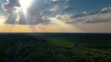 Mures Sel Ovası Doğal Parkı, Arad Bölgesi, Romanya. İnsansız hava aracı görüntüleri.