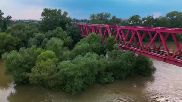 Most Kolejowy Nad Rzeką Mures Okręg Arad Rumunia Nagrania Lotnicze — Wideo stockowe