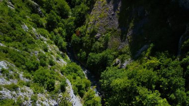 Transilvanya, Trascau dağları, Alba ilçesi, Romanya 'dan Ramet geçitleri
