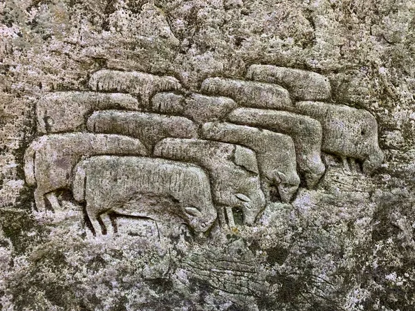 The image of sheep is carved on the stone. Drawing on the rock - sheep in the pasture. Fine art, stone carving. Ivano Frankivsk region, Dovbush Rocks, October 20, 2022