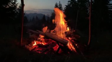 Ateş karanlıkta, yakın planda yanıyor. Gece ormanında alevlerin kırmızı dilleri. Kavram: ormanda yürüyüş, karanlıkta ışık..
