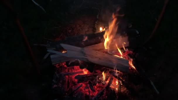 Elden Brinner Mörkret Närbild Röda Tungor Eld Eld Nattskogen Begreppet — Stockvideo