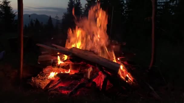 Fuego Arde Oscuridad Cerca Lenguas Rojas Fuego Incendio Bosque Nocturno — Vídeos de Stock