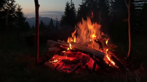 Fogo Arde Escuro Perto Línguas Vermelhas Fogo Incêndio Floresta Noturna — Vídeo de Stock