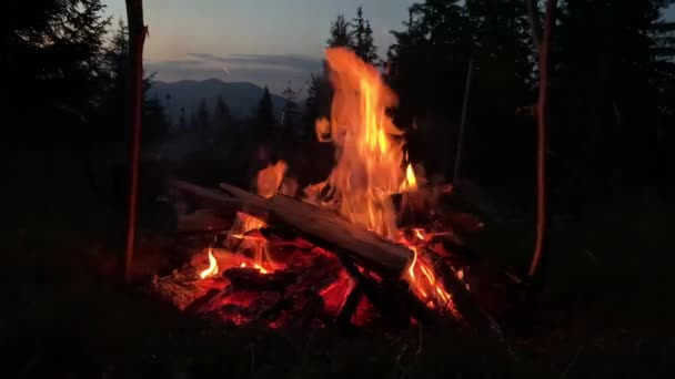 Ogień Płonie Ciemności Bliska Czerwone Języki Ognia Ogniu Nocnym Lesie — Wideo stockowe