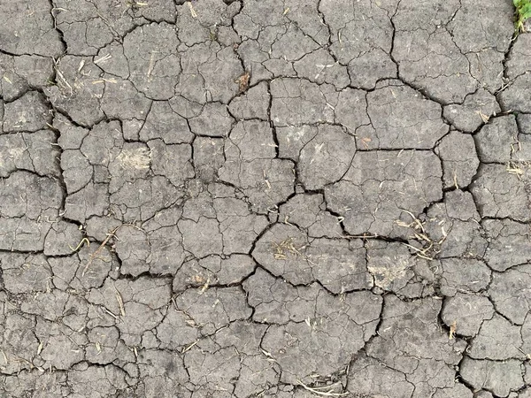 Earth cracked from drought and lack of rain. Cracks in the ground from lack of water. Concept: natural disasters, global warming