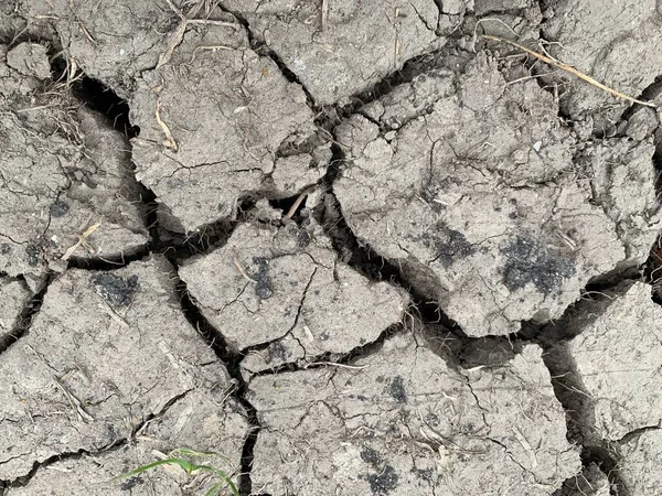 Earth cracked from drought and lack of rain. Cracks in the ground from lack of water. Concept: natural disasters, global warming