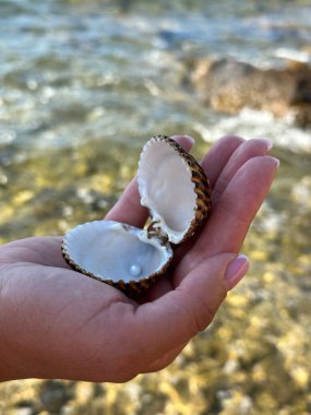 Kadınların avuçlarında kabuklu inciler. Denizin derinliklerinden gelen hazineler, kabuktaki inciler. Okyanusun derinliklerinden gelen bir mücevher..