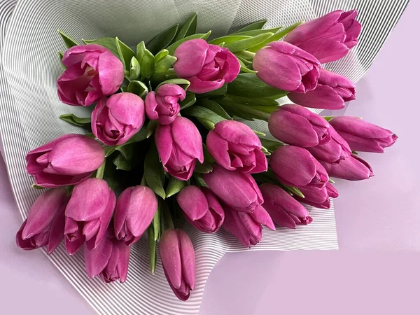 Bouquet of pink tulips in paper packaging. Spring flowers on a pink background, tulips.