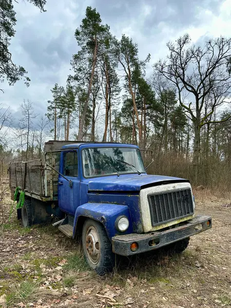 Ormandaki eski bir kamyon. Ağaçların arasında açık vücutlu bir kamyon. Kırık açık hava kamyonu.