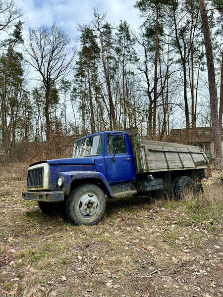 Old truck in the forest. A truck with an open body among the trees. Broken open-air truck.