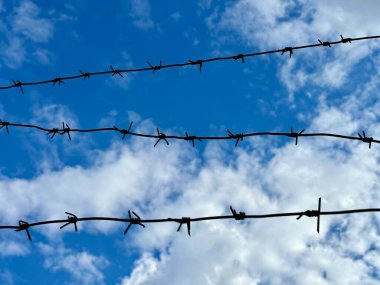 Mavi gökyüzüne karşı dikenli tel. Yasak bölge, canlı dikenli tel. Kavram: Tutsaklık, kölelik, tutsaklık