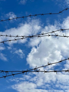Mavi gökyüzüne karşı dikenli tel. Yasak bölge, canlı dikenli tel. Kavram: Tutsaklık, kölelik, tutsaklık