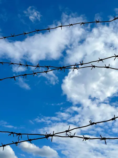 Barbed wire against a blue sky. Restricted area,live barbed wire. Concept: imprisonment, slavery, captivity