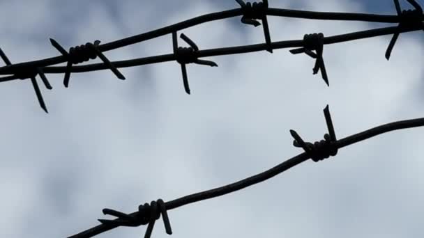Barbed Wire Blue Sky Restricted Area Live Barbed Wire Concept — Stock Video