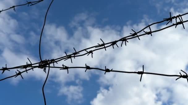 Stacheldraht Vor Blauem Himmel Sperrgebiet Lebender Stacheldraht Konzept Gefangenschaft Sklaverei — Stockvideo