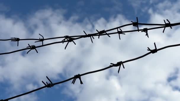 Stacheldraht Vor Blauem Himmel Sperrgebiet Lebender Stacheldraht Konzept Gefangenschaft Sklaverei — Stockvideo