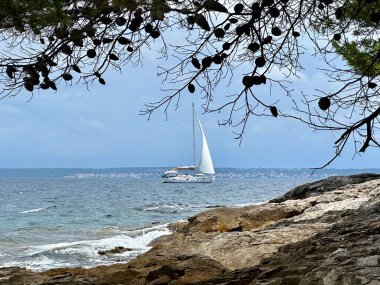 Mavi denizde beyaz bir yelkenli yelken açar. Adriyatik denizinin huş ağacı suyunda yelkenli. 27 Haziran 2024 'te Hırvatistan kıyısı açıklarındaki Preko adasında tatil gezisi