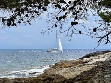 Mavi denizde beyaz bir yelkenli yelken açar. Adriyatik denizinin huş ağacı suyunda yelkenli. 27 Haziran 2024 'te Hırvatistan kıyısı açıklarındaki Preko adasında tatil gezisi