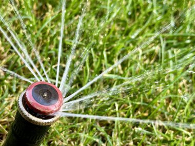 Çim fıskiyesi, yakın plan. Bahçedeki yeşil çimlerin otomatik olarak sulanması. Parkta yeşil büyüme için su sıçrıyor.