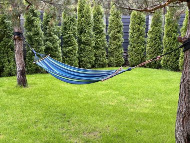 Bir evin yakınındaki bahçede rahat bir hamak, yemyeşil çimenler ve haydutlarla çevrili. Bu güzel peyzaj tasarımı dinlenmek ve keyif almak için mükemmel bir açık hava alanı yaratır..
