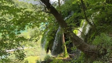 Dağlarda şelalesi olan güzel bir manzara.