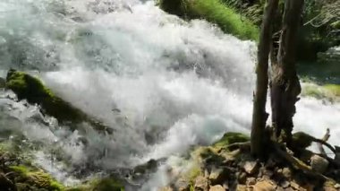 Hırvatistan 'ın Plitvice Gölleri' ndeki büyüleyici şelaleyi keşfedin. Bu şelale bereketli dağlar ve canlı yaz bitkileriyle çevrili ve unutulmaz bir doğa deneyimi sunuyor..