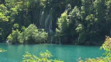 Ormanda güzel bir şelale