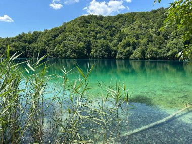 Hırvatistan 'daki Plitvice Gölleri' nin büyüleyici güzelliğine dalın. Yaz güneşi canlı suları ve yemyeşil dağları aydınlatarak açık hava maceraları için cennet manzarası yaratıyor..