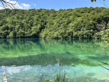 Hırvatistan 'daki Plitvice Gölleri Ulusal Parkı' nda turkuaz göller ve dağlarla çevrili şelaleler bulunuyor ve ziyaretçiler yazın doğadaki muhteşem güzelliğini deneyimlemeye davet ediliyor..
