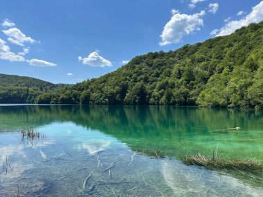 Hırvatistan 'daki Plitvice Gölleri' nin turkuvaz suları, bereketli çevresi ve görkemli dağlarıyla tanınan doğal güzelliğini kucaklayın. Yaz maceraları ve açık hava keşifleri için mükemmel..