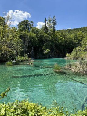 Hırvatistan 'ın Plitvice Gölleri, doğanın güzelliğinin kalbinde yaz maceraları ve deneyimleri için ideal, hoş dağlardan oluşan bir zemin üzerine kurulmuş sakin turkuaz suları sergiliyor..