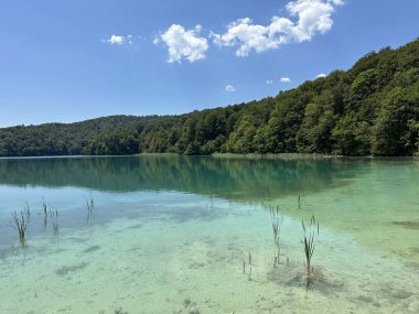 Hırvatistan 'daki Plitvice Gölleri, bereketli dağlarla çevrili çarpıcı mavi sular ve çağlayan şelaleler sunarak doğa severler ve maceracılar için mükemmel bir yaz mevsimi yaratıyor..