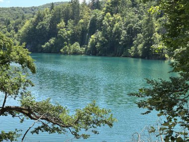 Canlı mavi suların yeşilliklerle çevrili şelalelerden aktığı Hırvatistan 'daki nefes kesici Plitvice Göllerini keşfetmek, bunu açık hava meraklıları için ideal bir yaz kaçışı haline getiriyor..