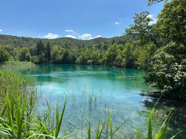 Hırvatistan 'ın Plitvice Göllerini keşfedin, büyüleyici turkuvaz suları ve dağlarla, muhteşem şelaleler yemyeşil manzaralarda çağlayarak, doğa severler için mükemmel bir yaz vahası oluşturur.