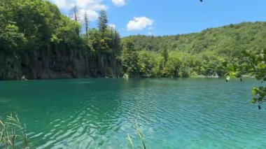 Hırvatistan 'daki Plitvice Gölleri yemyeşil ortamda büyüleyici turkuaz suları sunuyor. Ulusal park berrak gölleri ve pitoresk şelaleleri ile ünlüdür, doğa severler için mükemmeldir..