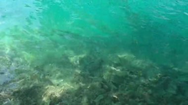 Hırvatistan 'da, turkuaz suların güneşin altında parıldadığı nefes kesici Plitvice Göllerini keşfedin. Bu çarpıcı milli park yemyeşil göllerle çevrili berrak mavi göllerle dolu bir limandır..