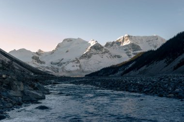 Soğuk bir sabah boyunca Columbia 'nın yanındaki Sunwapta nehri, Jasper Ulusal Parkı, Kanada